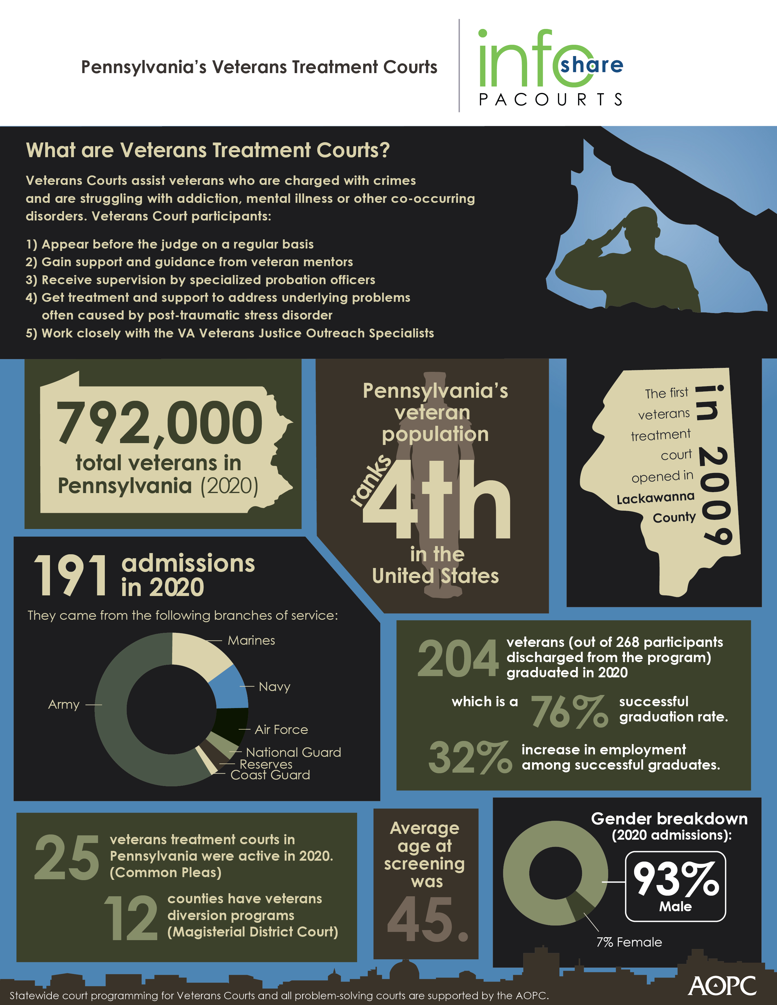 Veterans courts infographic