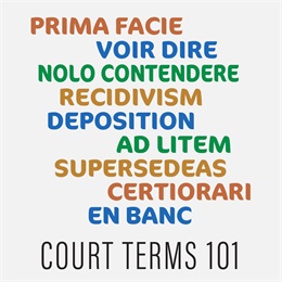 graphic depicting court terms