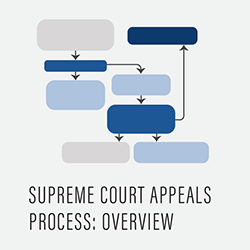 Supreme Court appeals process