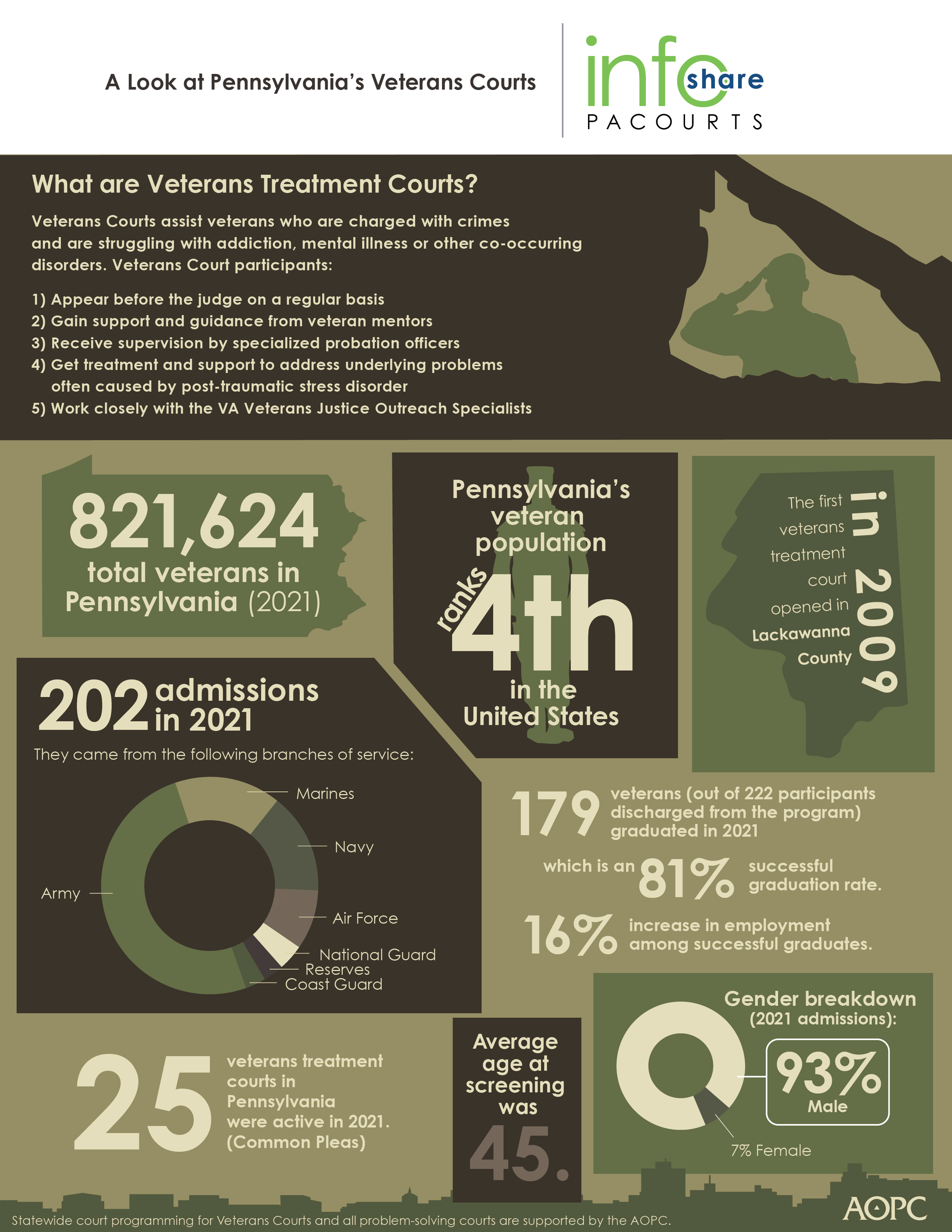 Veterans treatment court infographic