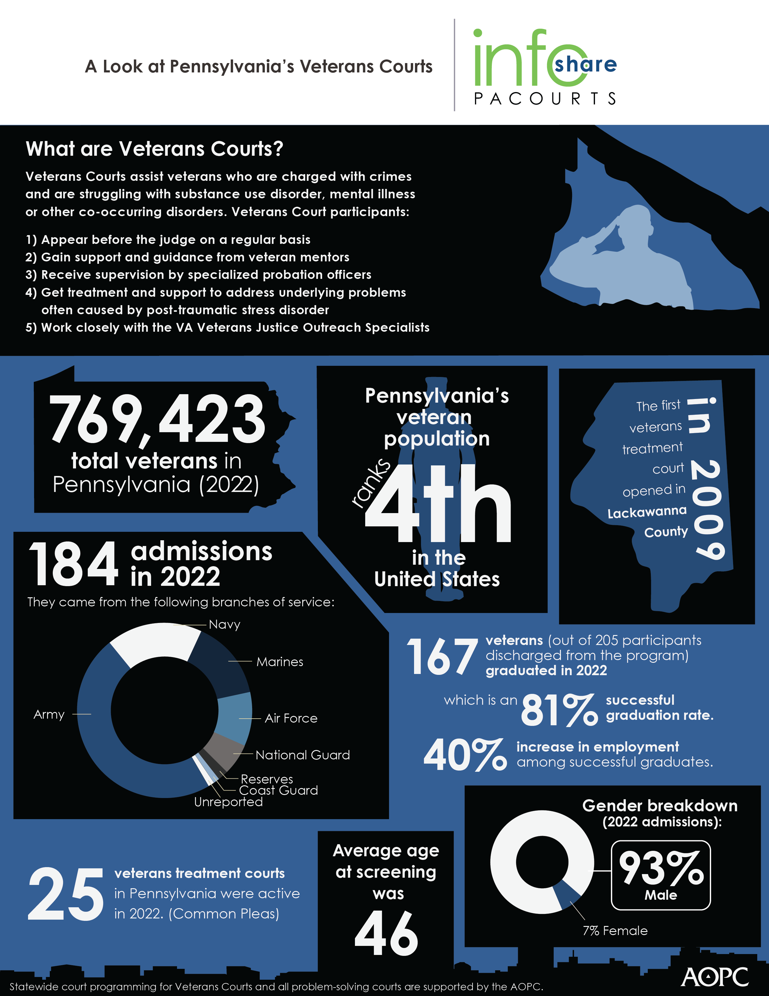 Pennsylvania’s Veterans Courts infographic