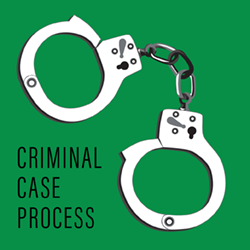 Criminal Case Process infographic