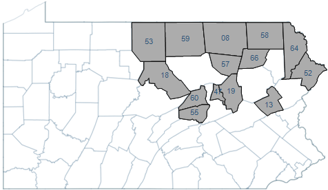 Map of Pennsylvania that highlights counties in Roundtable 8.